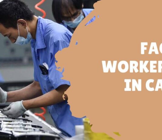 Factory Worker Jobs in Canada